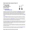 Retail Jeweler Eisen Jewelry El Paso TX 79912