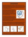 Diamond Rings for Men