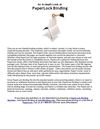 An In-depth Look at PaperLock Binding