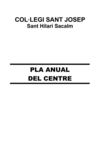 Pla Anual 2006-2007