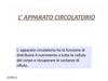 apparato_circolatorio