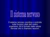 Sistema nervoso