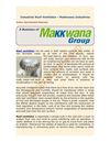 Industrial Roof Ventilator - Makkwana Industries