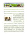 Green Van Lines Features among Leading Green Moving Companies