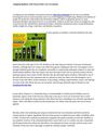 Stopping Baldness with Natural Hair Loss Treatments