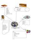 itb_genre_web