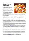 Bingo Tips for Beginners