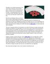 The Characteristics of a Successful Online Poker Player