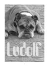 Ludolf