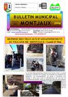 Bulletin n°62 juillet 2011