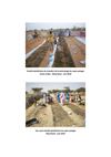 Guide nutrition ( Anne Millot ) 