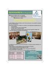 Flyer séminaire - groupe -indiv 2011