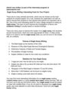 Eagle Essay Writing: Interesting Facts for Your Project