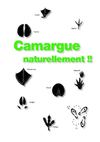 Camargue Naturellement, Saintes Maries de la Mer 2011