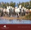 Guide d'appel Office de Tourisme des Saintes Maries, 2011