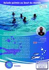 Balade palmée au bout du monde