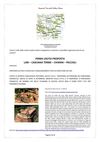 Le strade del vino 2