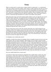 essay