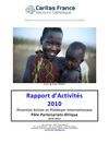 Rapport d'activite 2010 AFRIQUE