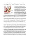 How-Urologists-In-St-Petersburg-Deal-With-Prostate-Cancer