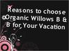 Reasons to choose Organic Willows B & B for Your Vacation