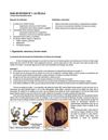 1º - Guía de estudio Célula