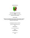Diagnostico de habiliades directivas