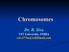 Chromosome