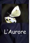 L'Aurore