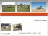 Territorios visitados