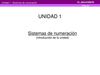 Sistemas de Numeración (Introducción)