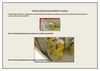 PROCESO VIJAGUAL 2011