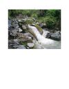 Estudio del Agua Rio San Andres de Cuerquia
