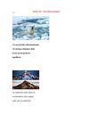 EFECTO INVERNADERO