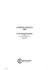 2009 - Comptes annuels