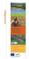 Ecodiag