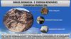 Brasil Biomassa e Energia Renovável Wood Bio Briquete 