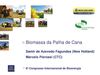 Biomassa da Palha da Cana de Açúcar