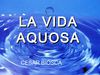 "La vida aquosa" Cesar Biosca