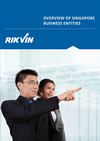 Rikvin Singapore Business Entities