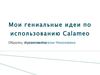 Мои гениальные идеи по использованию Calameo.