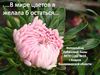 Как прекрасен этот мир