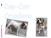 Criadero Canino Cay-Can