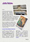 Lettre n°2 - août 2011