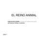 EL REINO ANIMAL