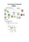 Los animales vertebrados