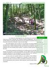 Journal Municipal d'information n°11