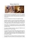 History About Cats