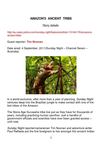 AMAZON'S ANCIENT TRIBE