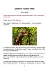 AMAZON'S ANCIENT TRIBE